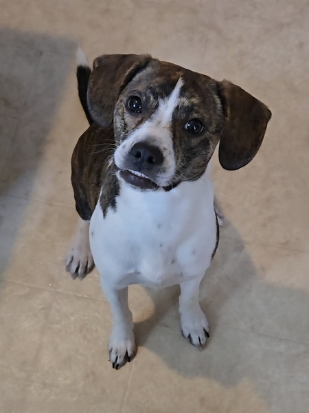 Entry image for Shylee. Clicking this image will show a larger photo