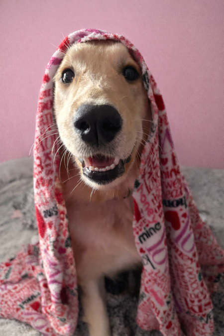 Entry image for Maggie Mae. Clicking this image will show a larger photo