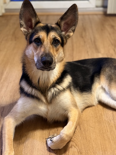 Entry image for Karma. Clicking this image will show a larger photo