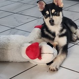 Entry image for Titan