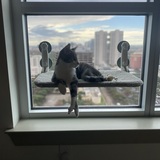 Entry image for Spock