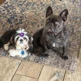 Entry image for Mack, Chanel