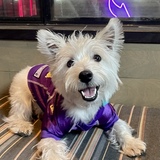 Entry image for Roux