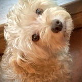 Entry image for Sasha “Pretty Girl” Peacock