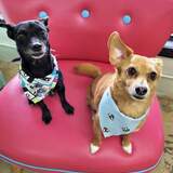 Entry image for Joey and Douglas