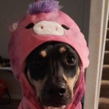 Entry image for Barby-Q