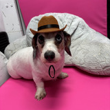 Entry image for Blue