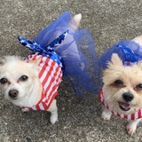 Entry image for Pinky & Bella