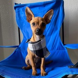 Entry image for Chiween 