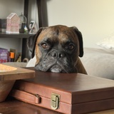 Entry image for Silk