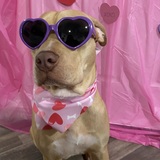 Entry image for Pretty