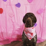 Entry image for Britta