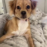 Entry image for Penny