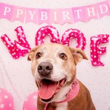 Entry image for Mackenzie