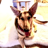 Entry image for Truffle 