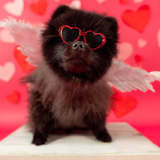 Entry image for Magic