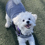 Entry image for Bruce Flee