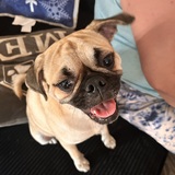 Entry image for Mr Buttons