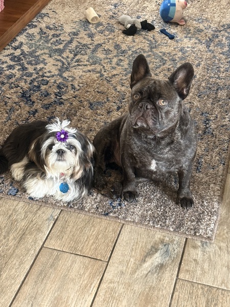 Entry image for Mack, Chanel. Clicking this image will show a larger photo