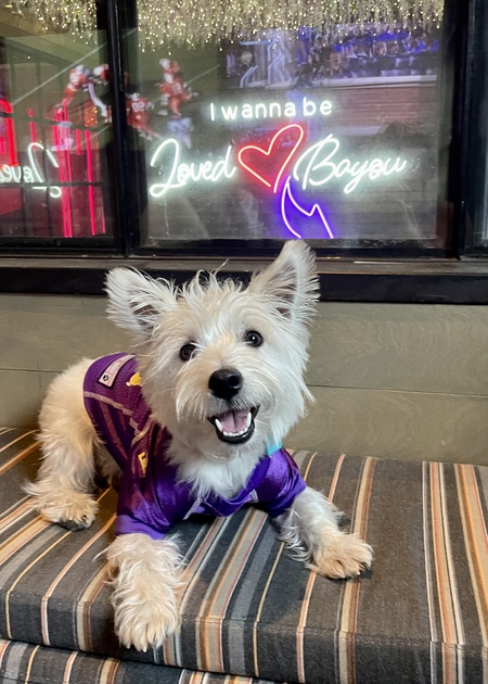 Entry image for Roux. Clicking this image will show a larger photo