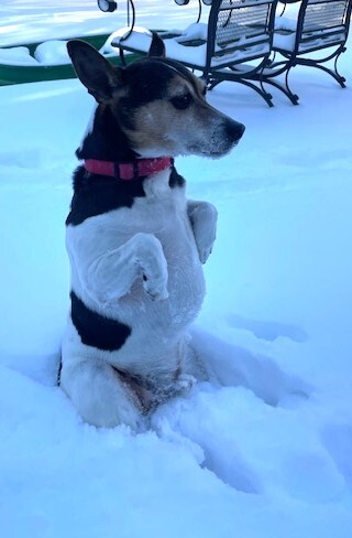 Entry image for Snowbie Juan Kenobi. Clicking this image will show a larger photo