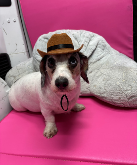 Entry image for Blue. Clicking this image will show a larger photo