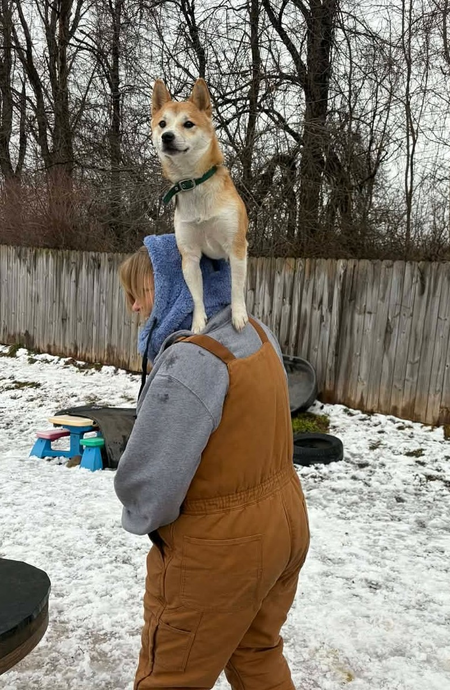 Entry image for Gan. Clicking this image will show a larger photo