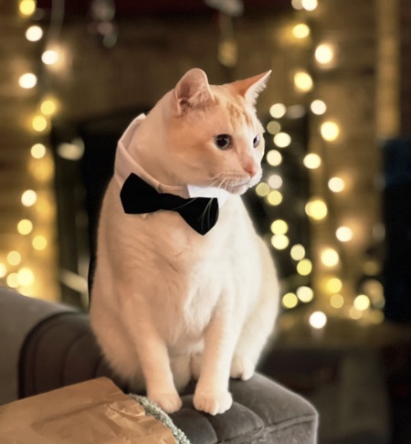 Entry image for Ferris Mewller. Clicking this image will show a larger photo