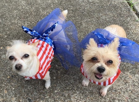 Entry image for Pinky & Bella. Clicking this image will show a larger photo