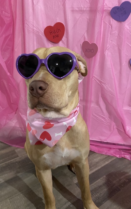 Entry image for Pretty. Clicking this image will show a larger photo