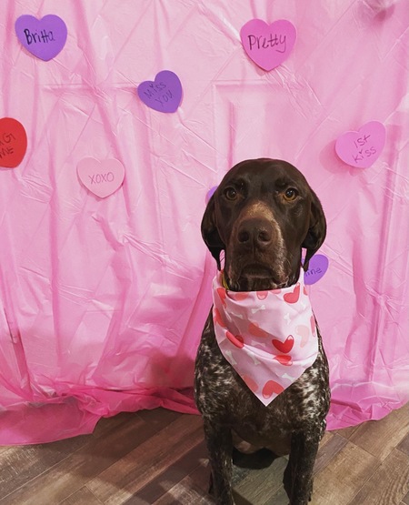 Entry image for Britta. Clicking this image will show a larger photo