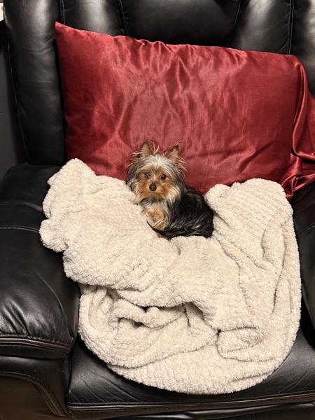 Entry image for Max Velez. Clicking this image will show a larger photo