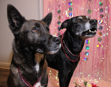 Entry image for Acorn & Urie. Clicking this image will show a larger photo