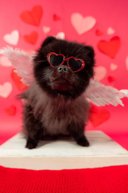 Entry image for Magic. Clicking this image will show a larger photo