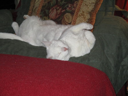 Duncan Snowball McCloud