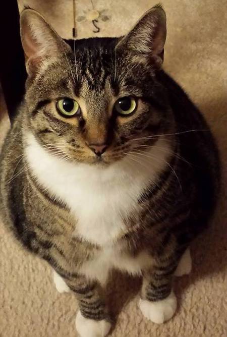 Pepper