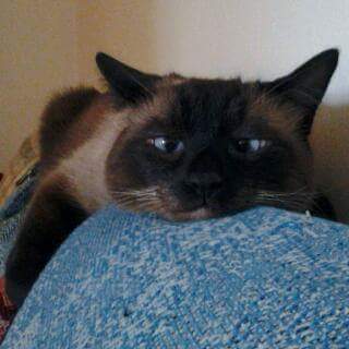 Jackie Blue