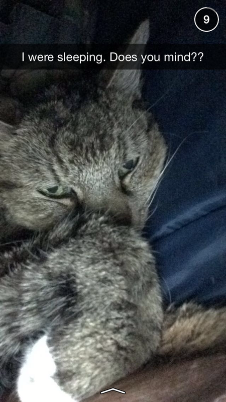 Maxtor