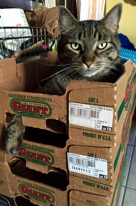 Chef Paul Prudhomme-Chat
