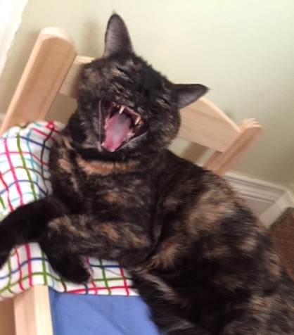 Salome aka Crackhead Sally