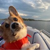 Entry image for Crouton 