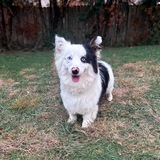 Entry image for Mojo 