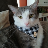 Entry image for Slash Borrero