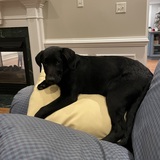 Entry image for Storm