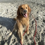 Entry image for Winston