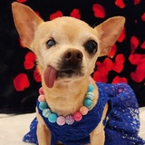 Entry image for Sandy