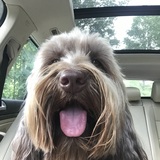 Entry image for August 