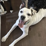 Entry image for Leche