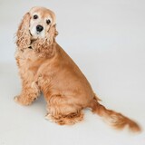 Entry image for Bella 