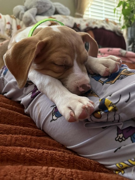 Entry image for Aurora. Clicking this image will show a larger photo